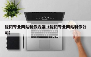 上海沈阳专业网站制作方案（沈阳专业网站制作公司）